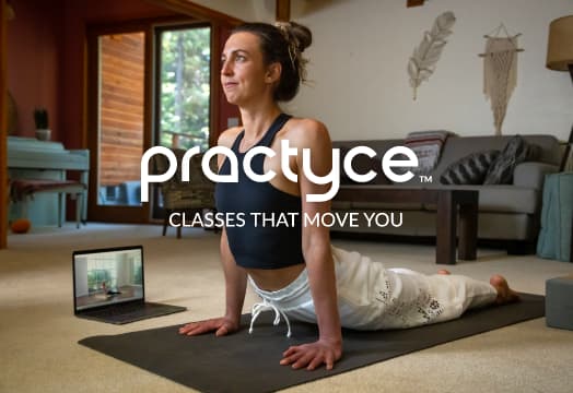 Practyce Annual Membership