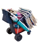 Beach Carts