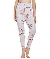 onzie harem pants